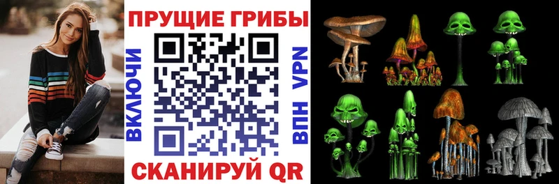 мега ссылки  купить наркоту  Брянск  Псилоцибиновые грибы мухоморы 